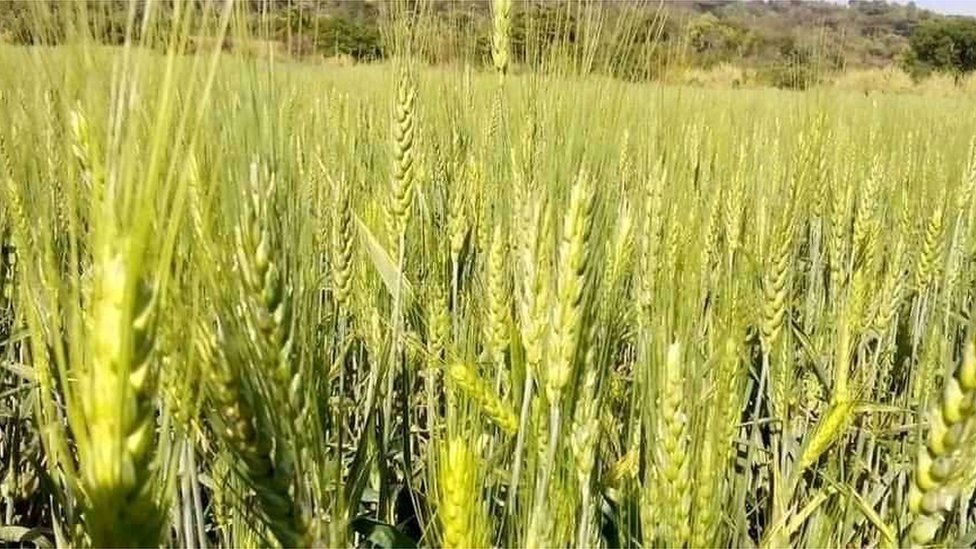 Koreya erkak bilan jinsiy aloqa video Rus onasi va ogli ortasidagi anal jinsiy aloqa