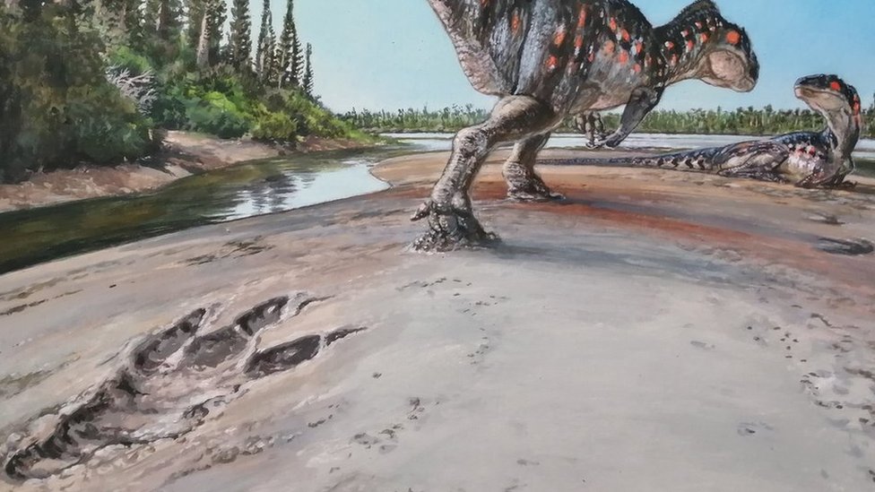 Huge Dinosaur Footprint Found In Yorkshire CBBC Newsround huge-dinosaur-footprint-found-in-yorkshire-cbbc-newsround