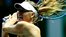 Sharapova sees off top seed Halep