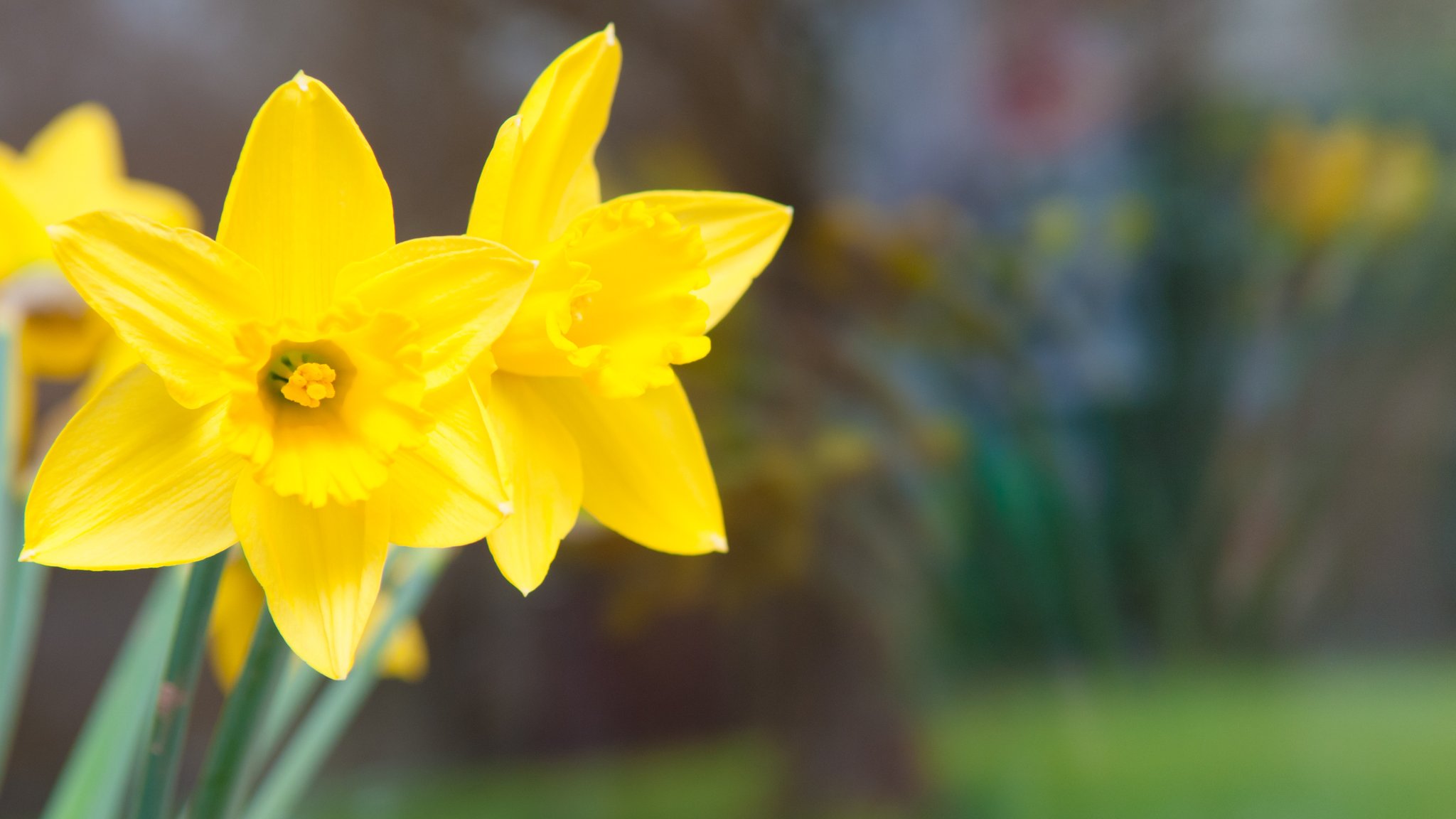 April tax changes