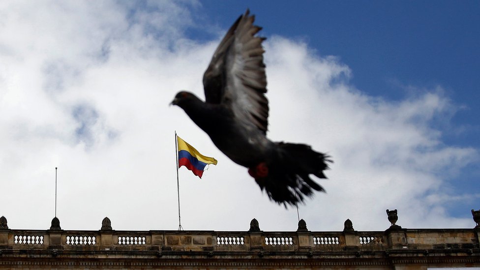 Polêmica entre o Exército colombiano e organizações camponesas