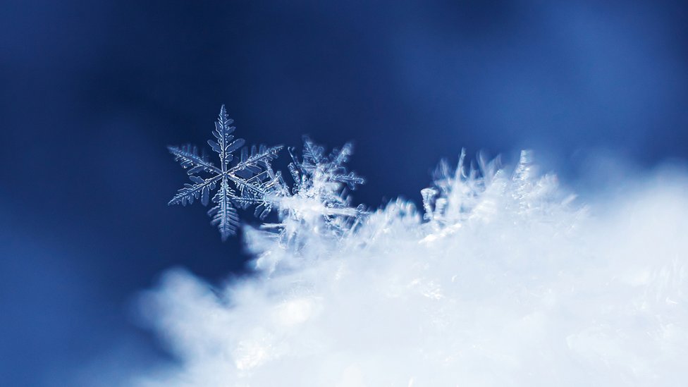 Por qué los copos de nieve son simétricos y hexagonales? La pregunta que  inspiró a Kepler una conjetura no resuelta en siglos - BBC News Mundo