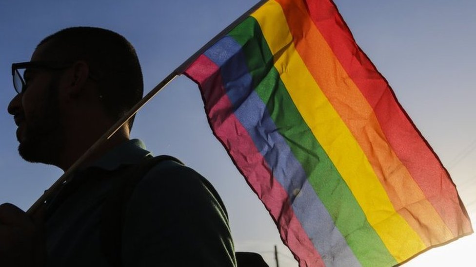 hoy gravedad Arreglo Cuál es el origen de la bandera de arcoíris, símbolo de la comunidad LGBT?  - BBC News Mundo