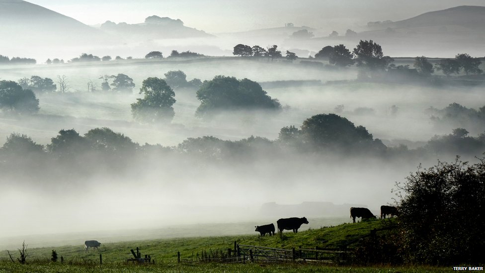 _85913428_0110fog-buxtonderbyshire-terry