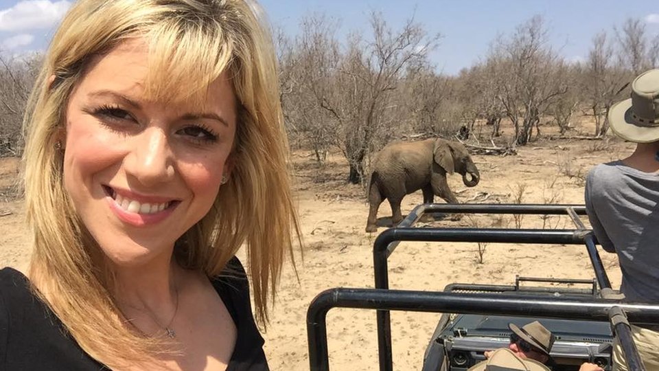 Saving Africa's elephants: What's being done? - CBBC Newsround