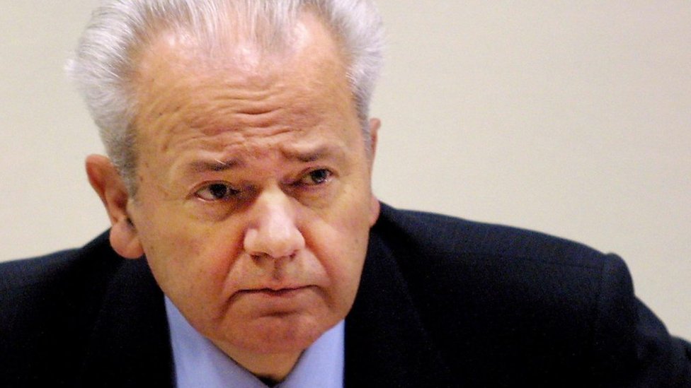 Eng yaxshi mushuk uchun video tanlovi