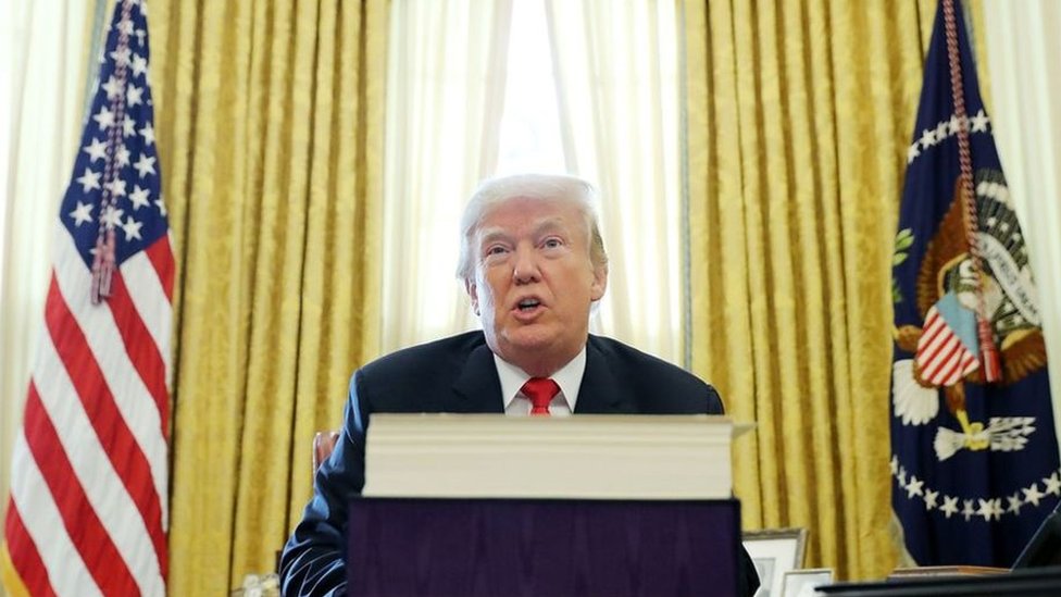 Yalangoch, shahvoniy kokraklarning fotosuratlari