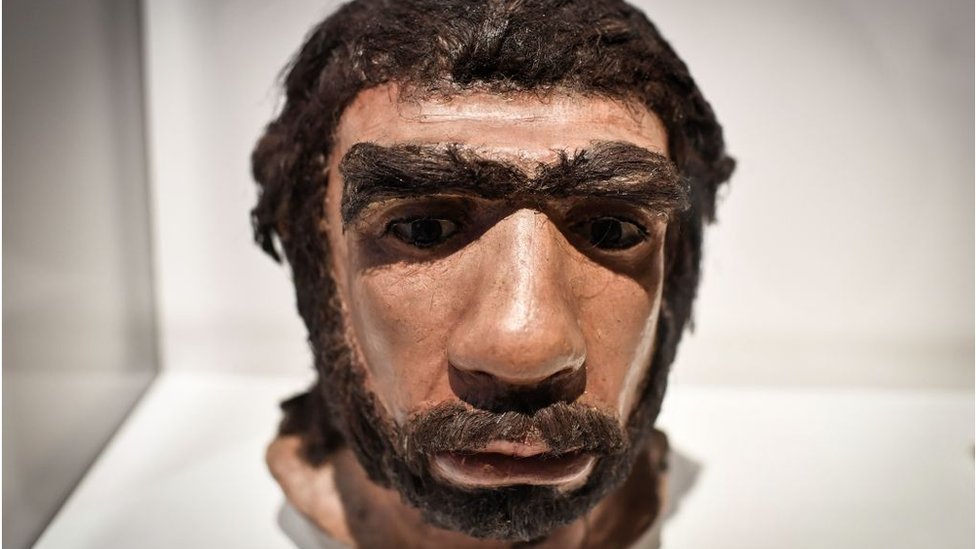 Неандертальцы: такие же люди, как мы, просто им не повезло? - BBC News  Русская служба