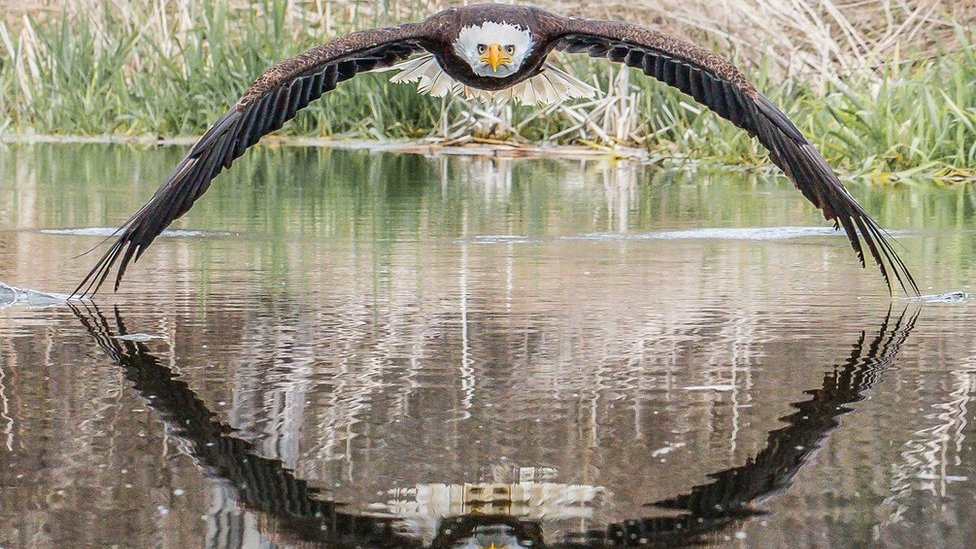 Страпон секс еркектерді Жертөледе жаттық