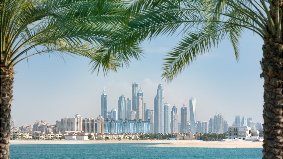 La marina de Dubái enmarcada por dos palmeras.
