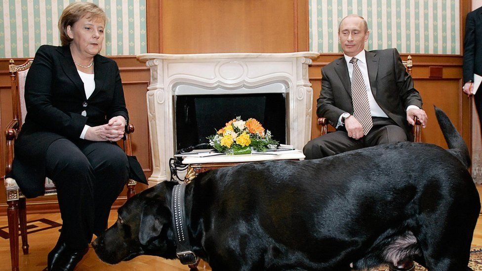 اجتماع بين الرئيس الروسي فيلاديمير بوتين والمستشارة الألمانية أنغيلا ميركل