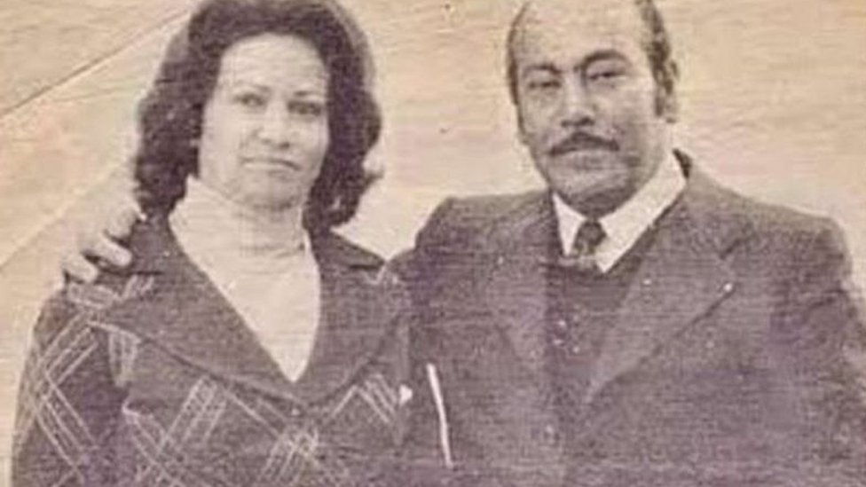 Yosh kokraklar va mushuklar