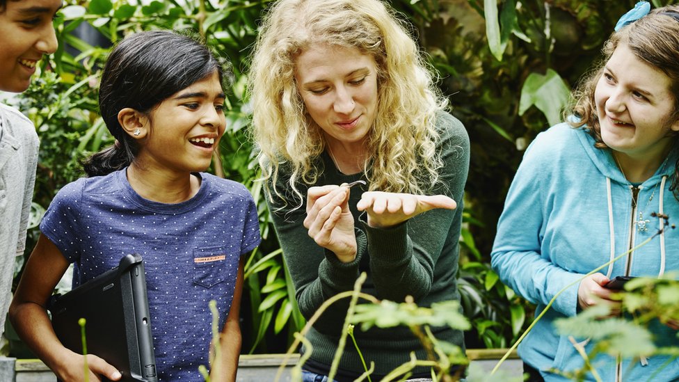 New Natural History GCSE Launched To Focus On Climate Change - CBBC ...