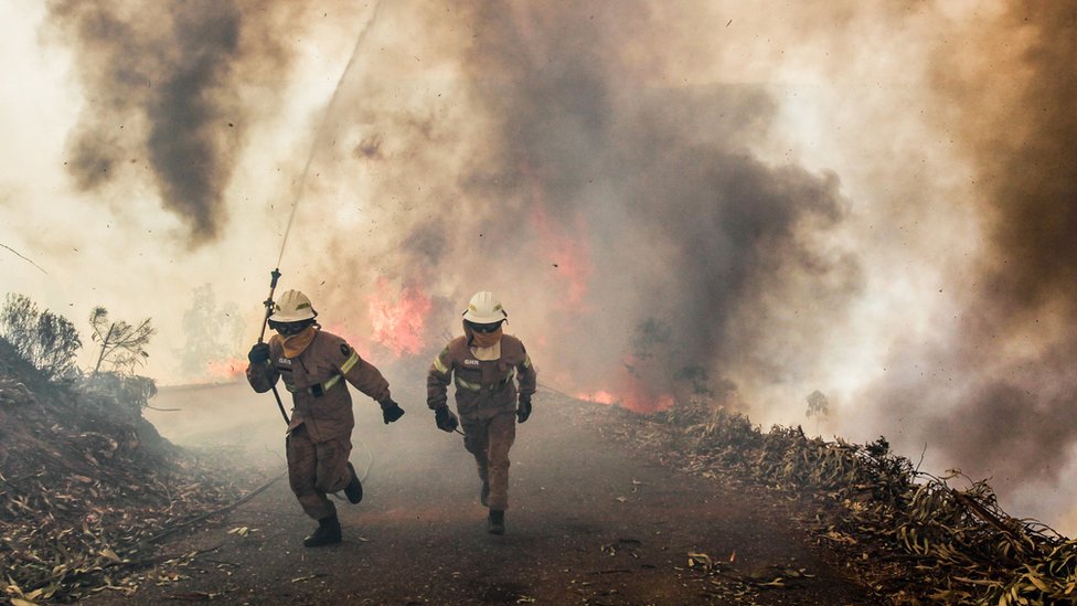 62 Tewas Dalam Kebakaran Hutan, Portugal Berduka Tiga Hari - TribunNews.com