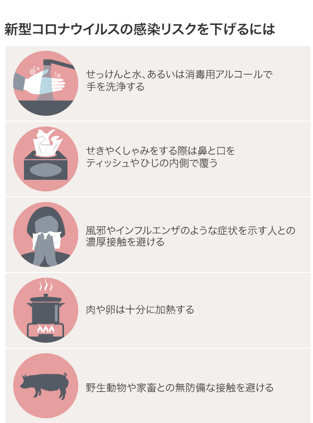 図表で見る】 新型コロナウイルス、世界各地で感染拡大 - BBCニュース 図表で見る】 新型コロナウイルス、世界各地で感染拡大 - BBCニュース