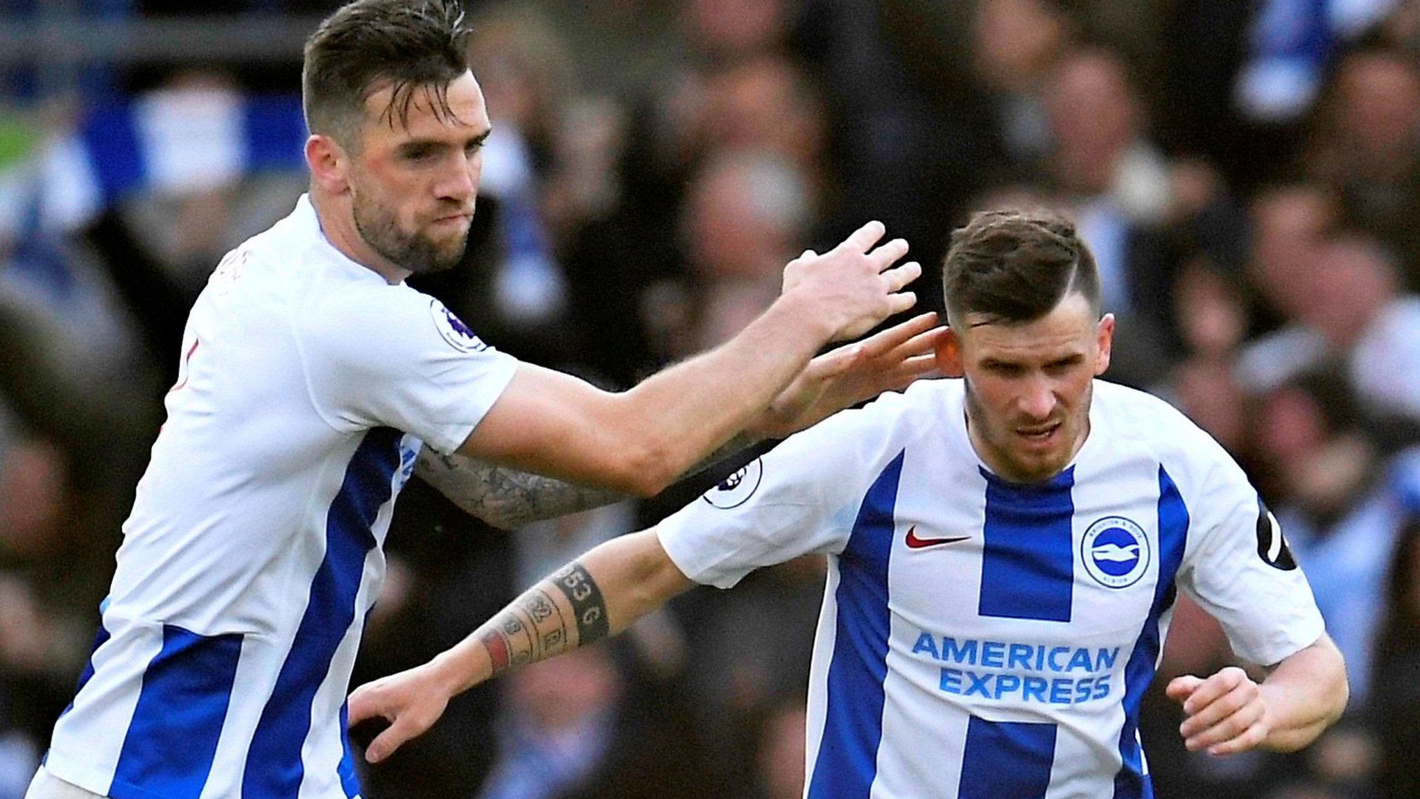 Brighton & Hove Albion 1-1 Newcastle United: Chris Hughton rues Glenn  Murray miss - BBC Sport