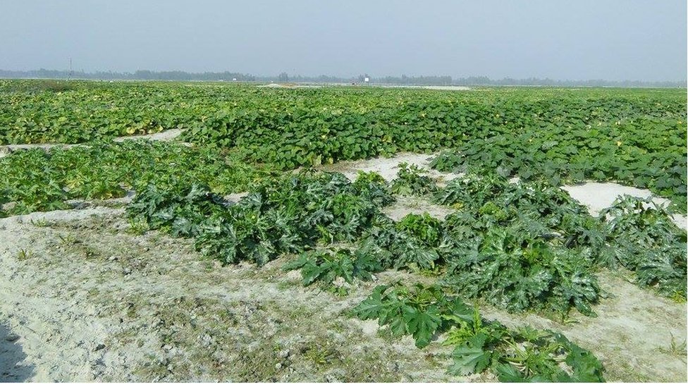 Jinsiy aloqada bolgan qora külot va tayt kiygan qizlarning onlayn videolarini tomosha qiling.