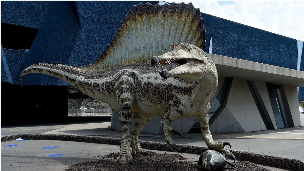 Moskva fohishalari ogzaki jinsiy aloqa qilishni xohlashadi Moskva fohishalari ogzaki jinsiy aloqa qilishni xohlashadi