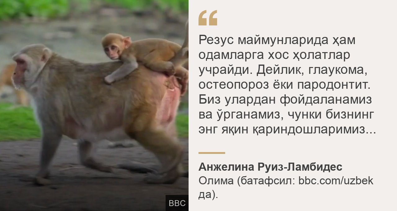 Qozogiston porno filmlar