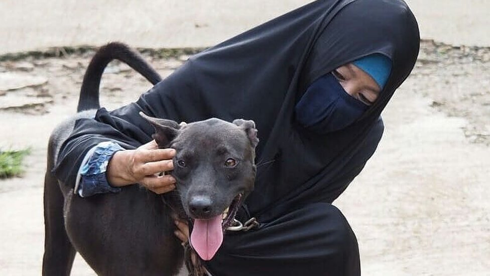 'Jhon, kita tak akan lapar lagi': Perempuan bercadar yang menolong anjing liar