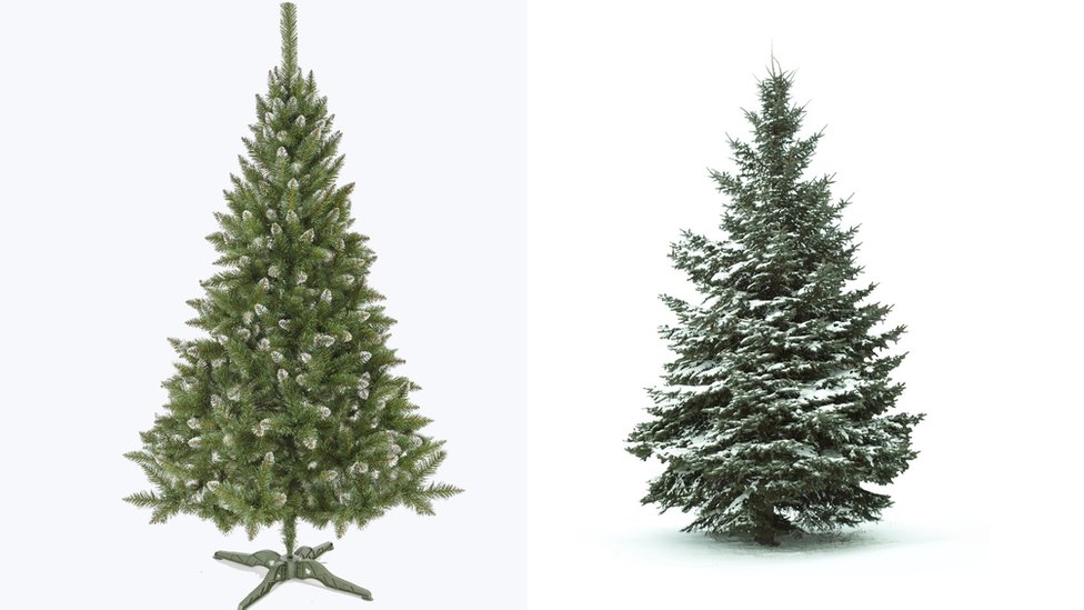 Живая или искусственная: какую елку выбрать на Рождество?