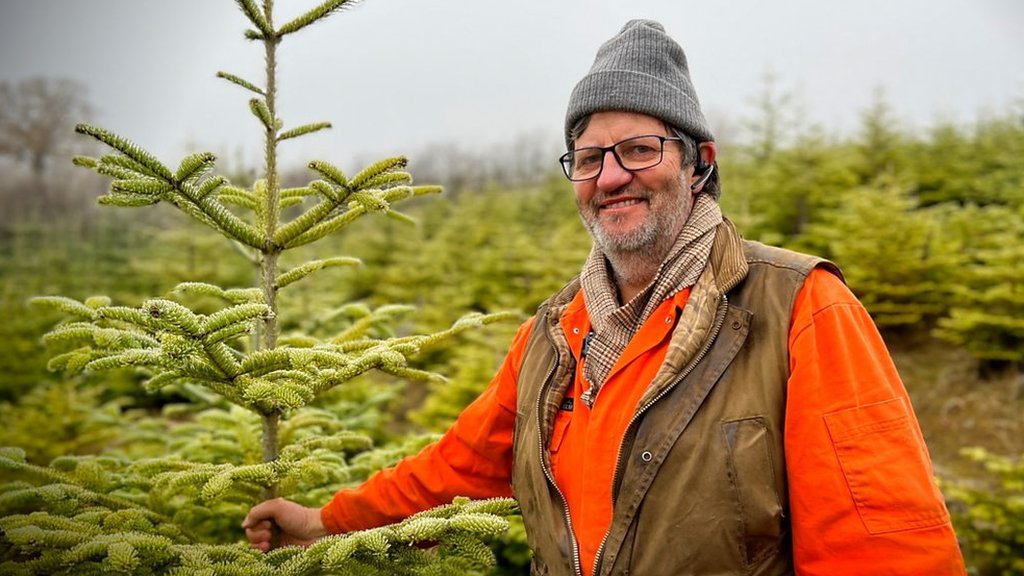 'How my Christmas tree farm is helping Ukraine'