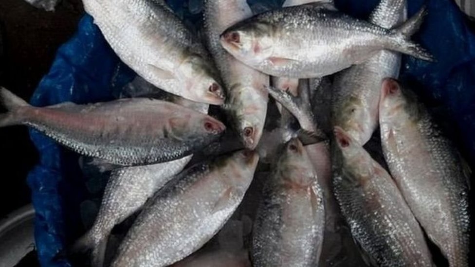 Men onlayn porno videolarni kora olmayman. Yetuk ayollar bilan jinsiy aloqa