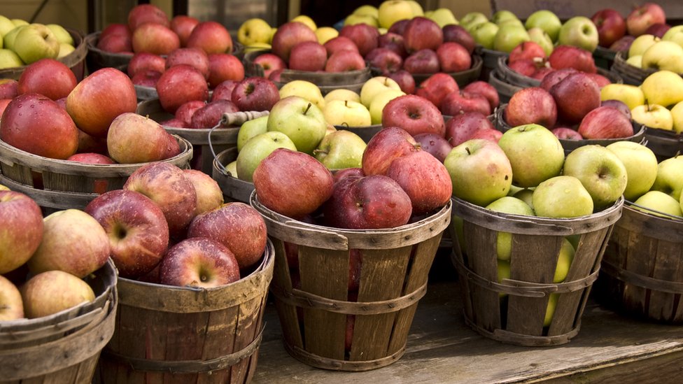 Por que a maçã não pode ter sido 'o fruto proibido de Adão e Eva', segundo  a ciência - BBC News Brasil