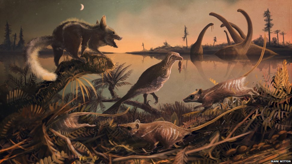 Paleontólogos descobrem mais antigo ancestral dos dinossauros
