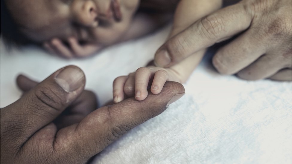 Tekin jinsiy aloqa Ava Cox porno onlayn