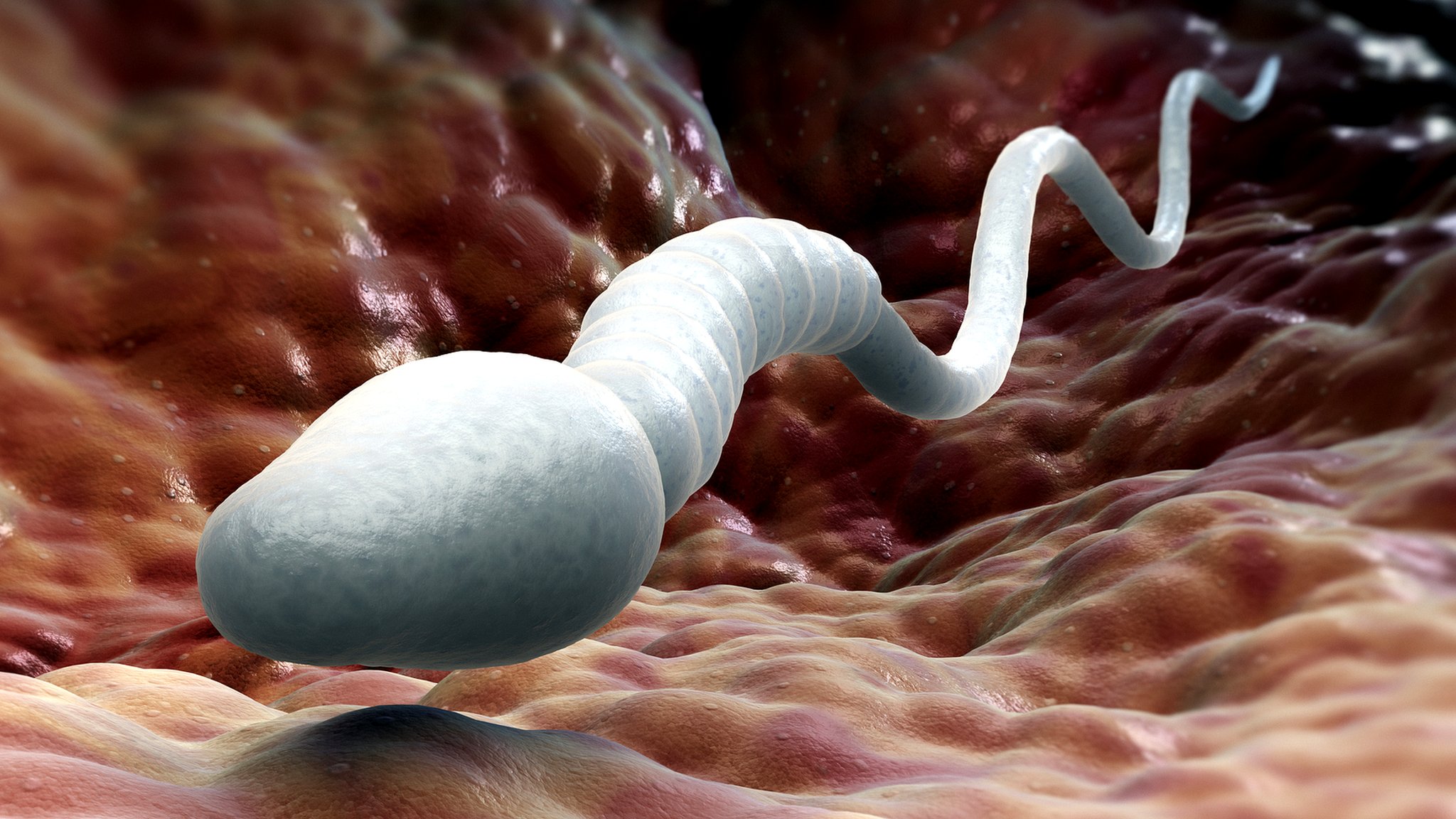 Густая сперма на крошечной жопке мамки
