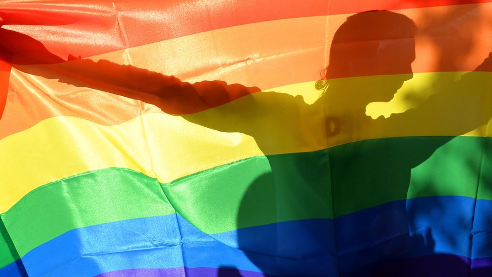 Row over 'gay cure' film screening