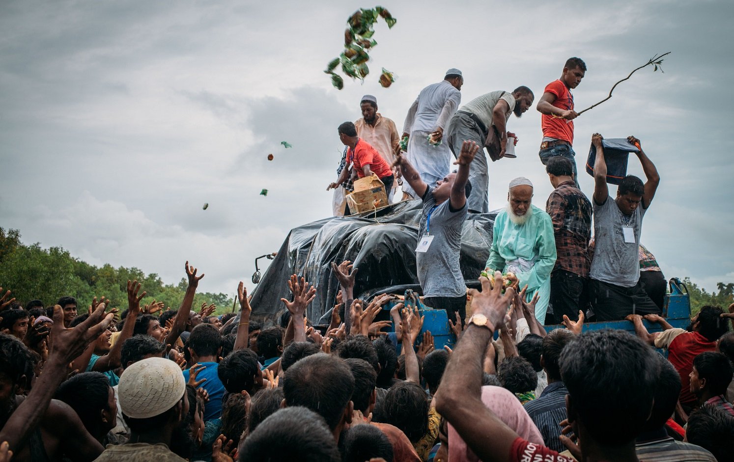 rohingya