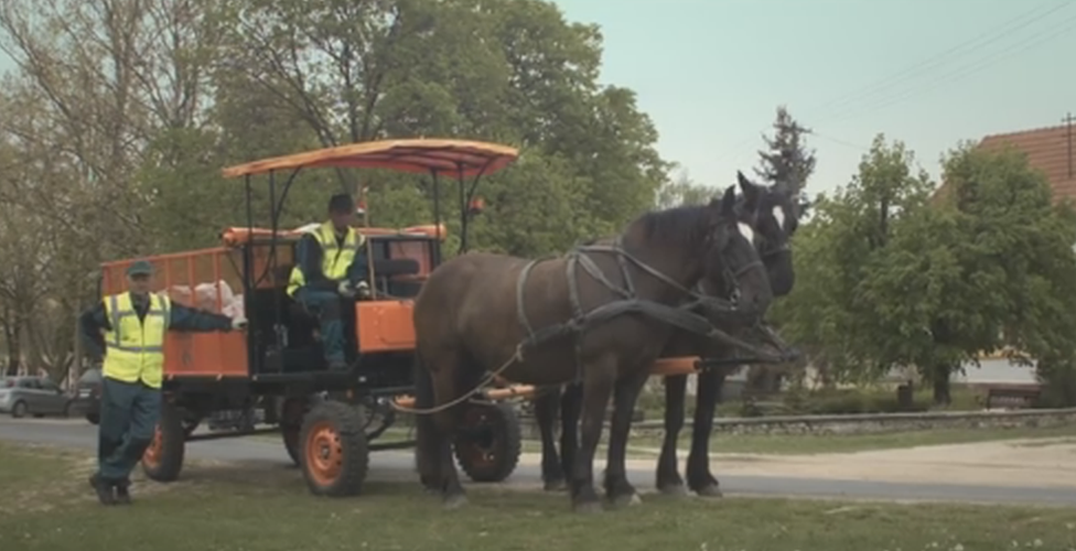 The rubbish collectors with the horse and cart