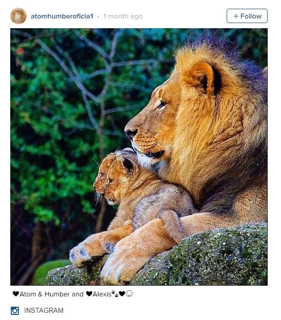 Alexis Sánchez en Instagram