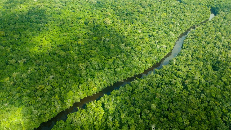 Expansão urbana e agronegócio ameaçam Mata Atlântica, alerta