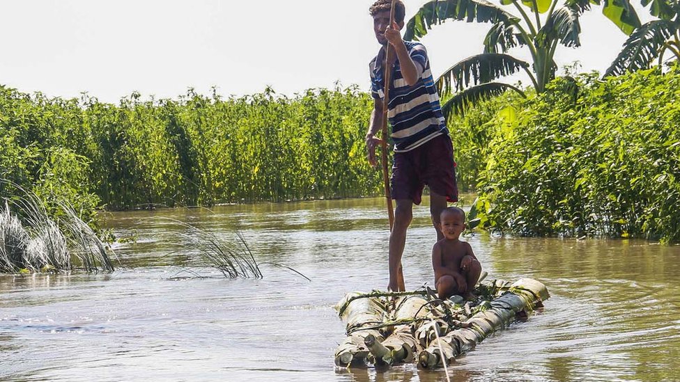 Semiz eshakning surati keng yoyilgan Katta dildolar bilan jinsiy aloqa mashinalari