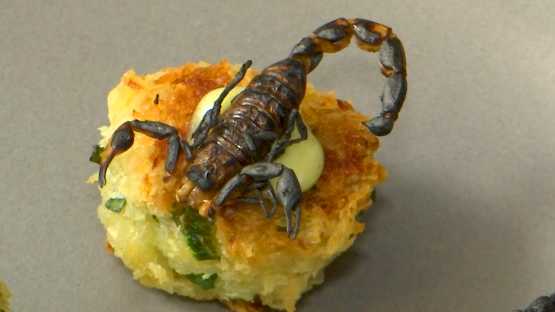 edible-insects-are-on-the-menu-in-new-york-city-cbbc-newsround