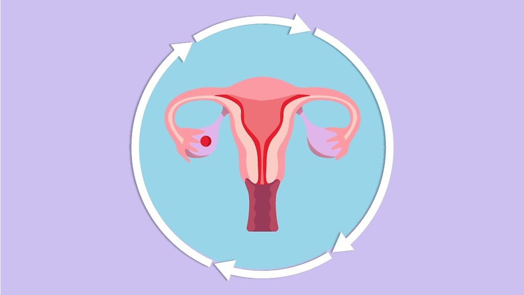 Menstruación y tiroides
