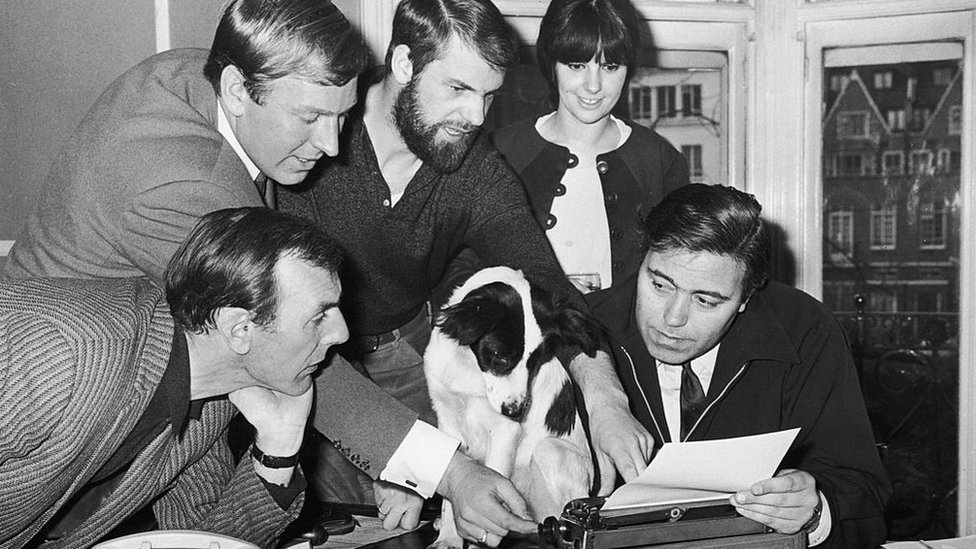 Pickles, o cão herói que nos anos 60 encontrou o troféu roubado do Mundial  – Observador
