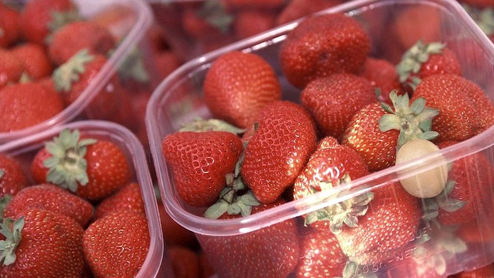 Strawberry farm to grow despite objections