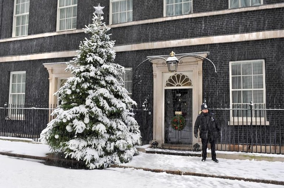 bbc news christmas common tree installed at no 10 for bbc news christmas common tree installed at no 10 for