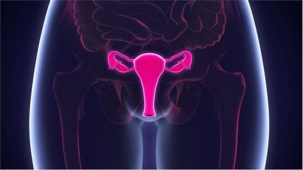 Suvli toyimli fotosurat Porno filmlar ed