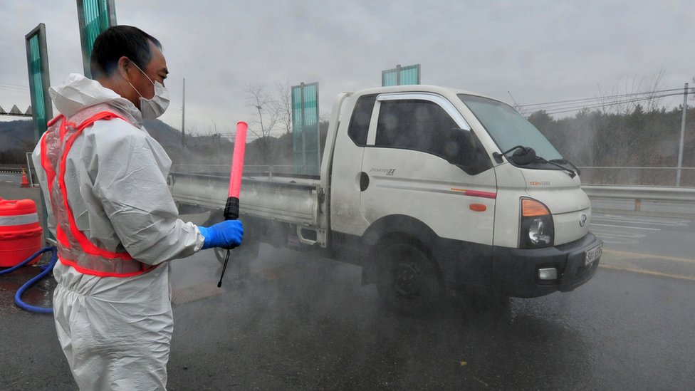 موظف من وزارة الزراعة يعقم سيارة من الفيروس