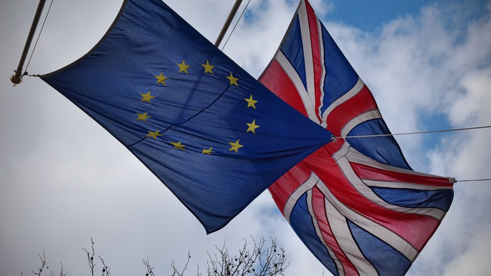 Scots and Welsh can have say in Brexit court case