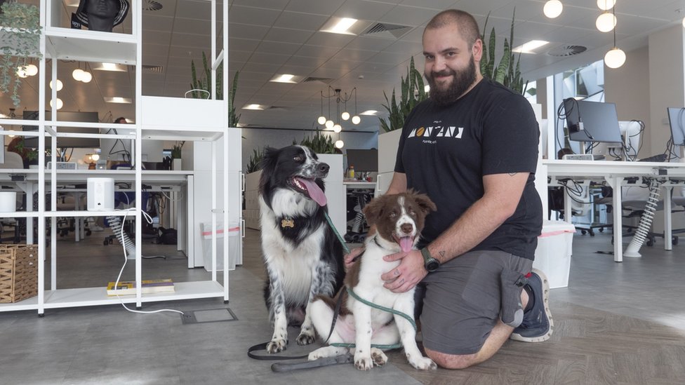 Pet perks tempt staff back into the office