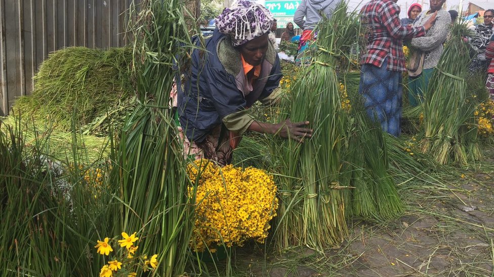 Ular yiglamaguncha qattiq urishadi
