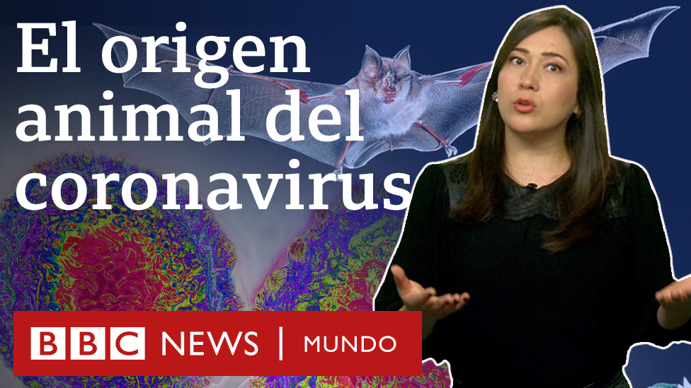 Coronavirus ¿sirve el gel antibacterial contra el covid-19? - BBC News Mundo