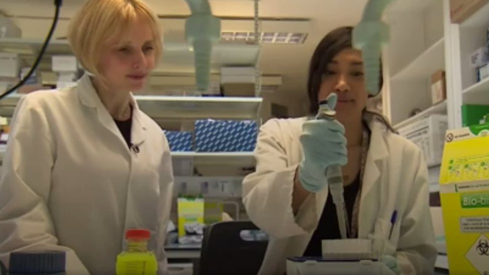 Científicos en un laboratorio