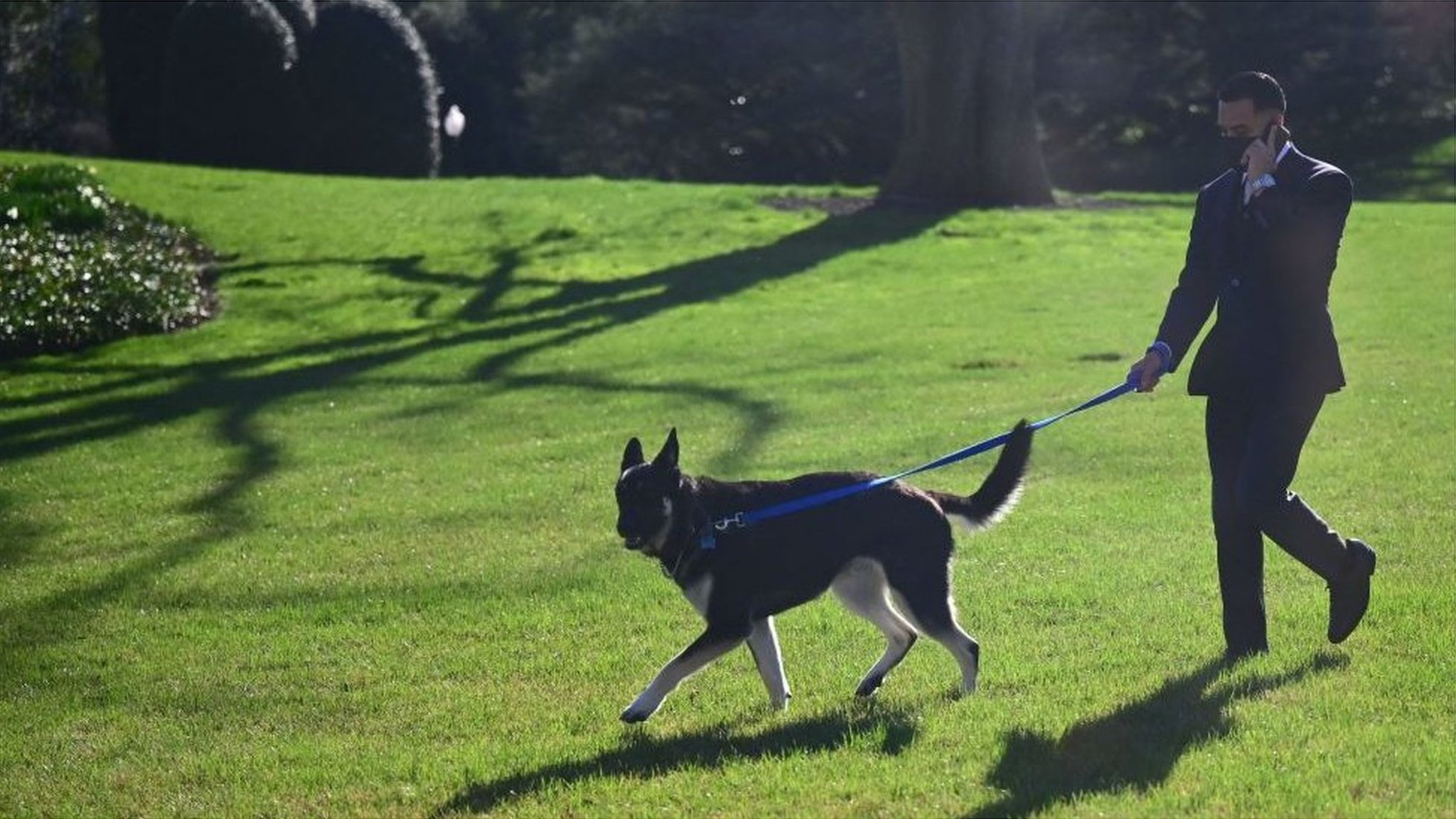 バイデン夫妻の愛犬、また人にかみつく ホワイトハウスで - BBCニュース